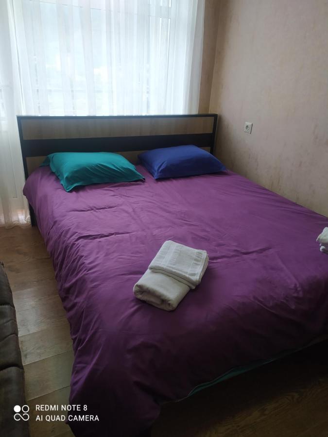 Alena'S Flat Apartamento Borjomi Exterior foto