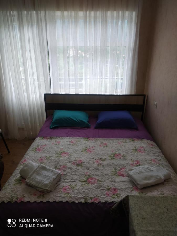 Alena'S Flat Apartamento Borjomi Exterior foto